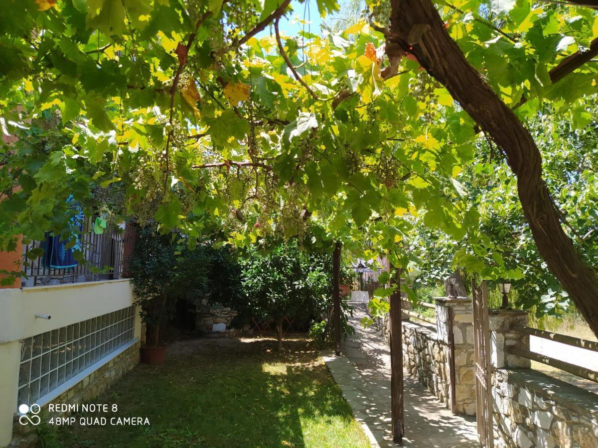 Morfili Villa Limenaria  Exterior photo