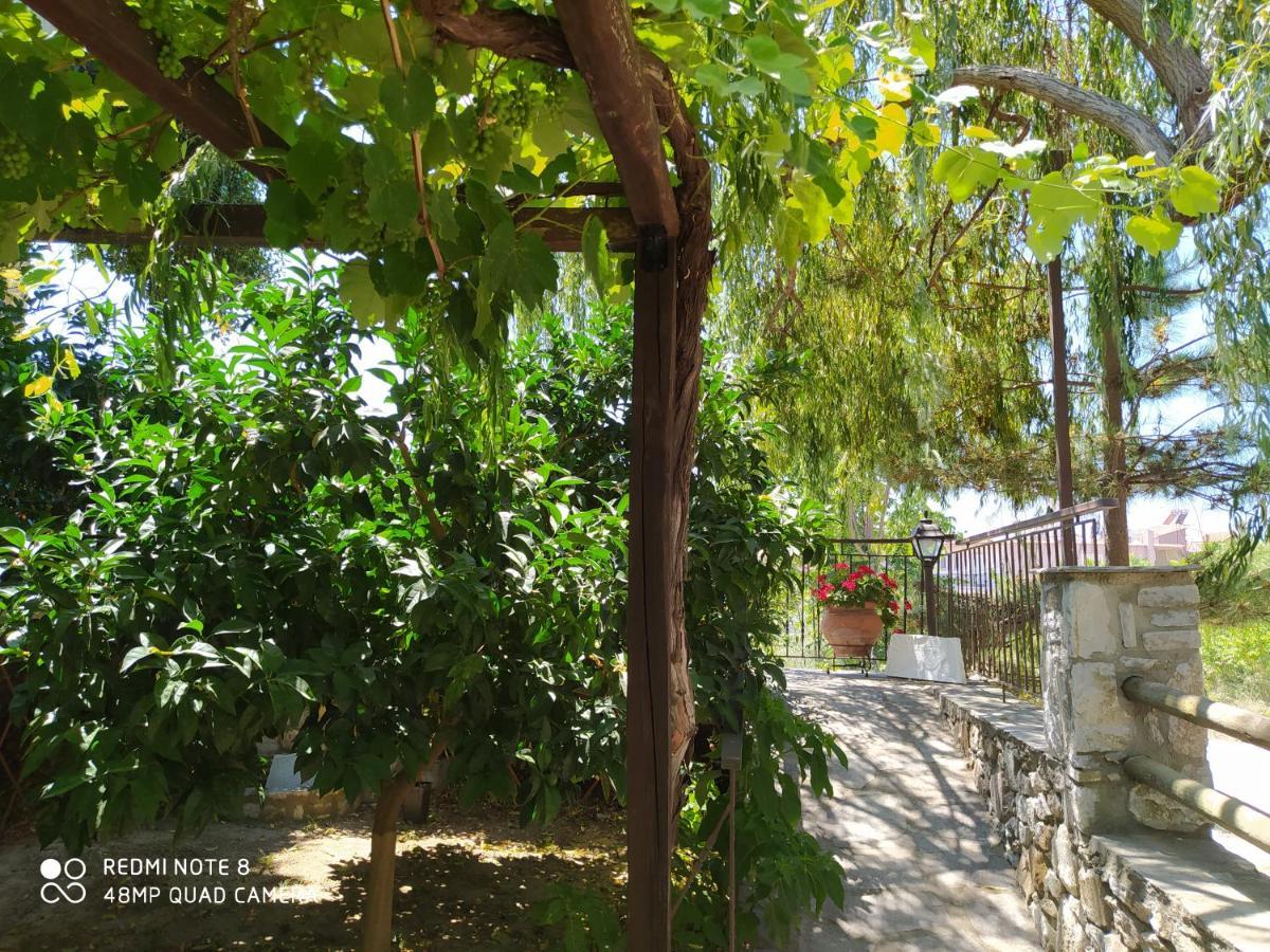 Morfili Villa Limenaria  Exterior photo