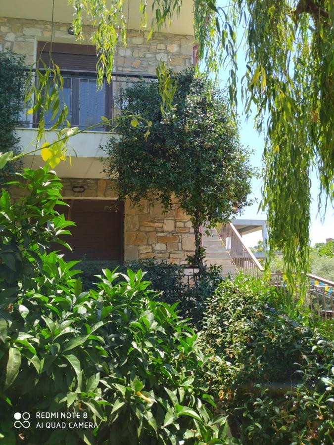 Morfili Villa Limenaria  Exterior photo